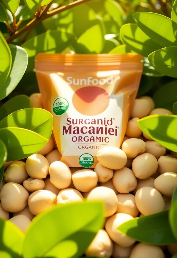 choosing sunfood organic macadamia